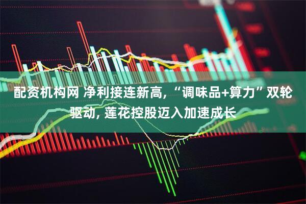 配资机构网 净利接连新高, “调味品+算力”双轮驱动, 莲花控股迈入加速成长