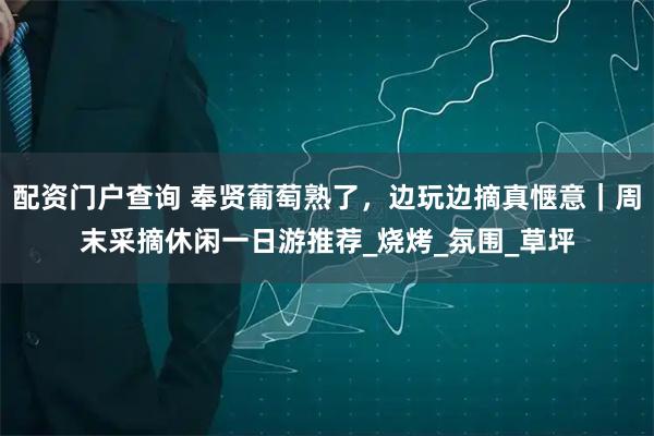 配资门户查询 奉贤葡萄熟了，边玩边摘真惬意｜周末采摘休闲一日游推荐_烧烤_氛围_草坪